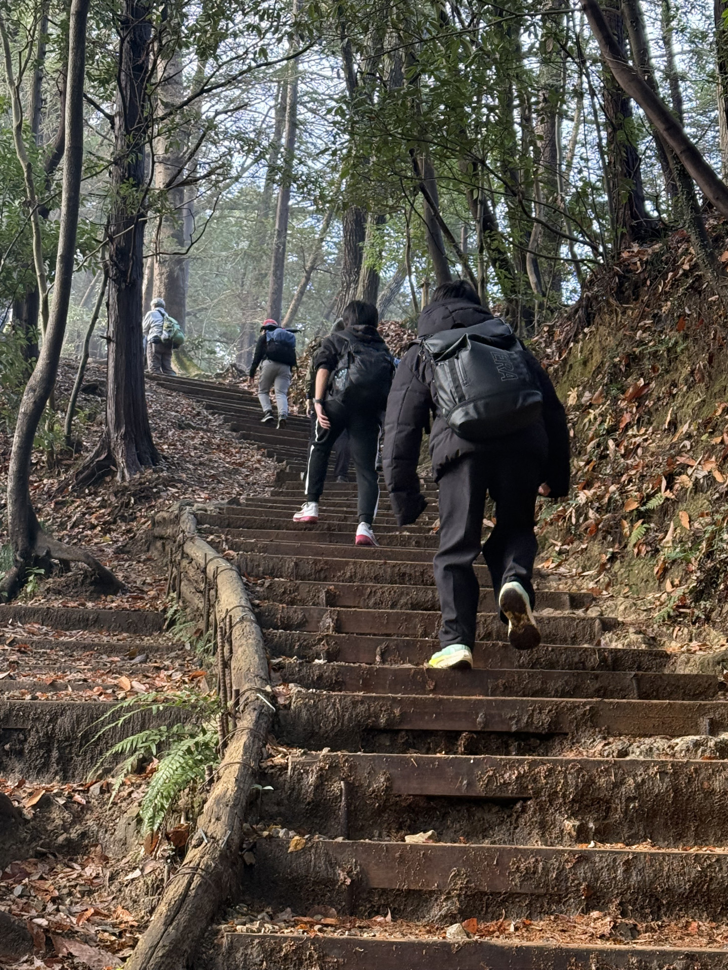 0107 高尾山登山
